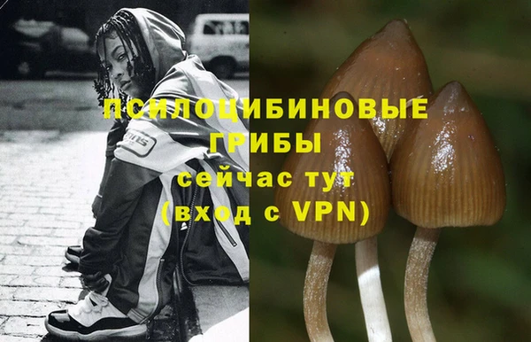молекула духа Абаза