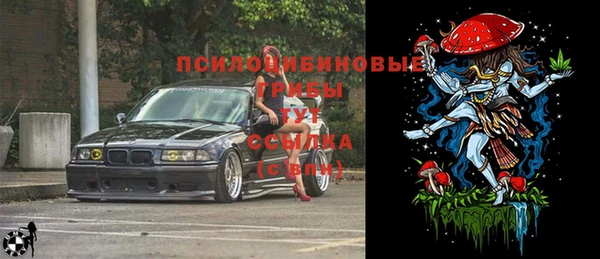таблы Алзамай